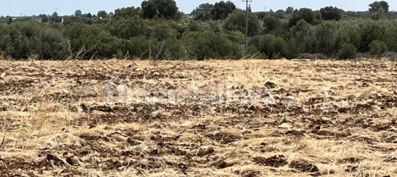 7 chambres Maison à Ostuni, Italy No. 348119 32