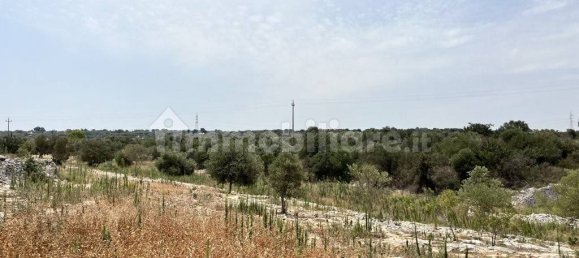 7 chambres Maison à Ostuni, Italy No. 348119 23