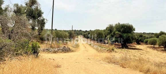 7 chambres Maison à Ostuni, Italy No. 348119 28