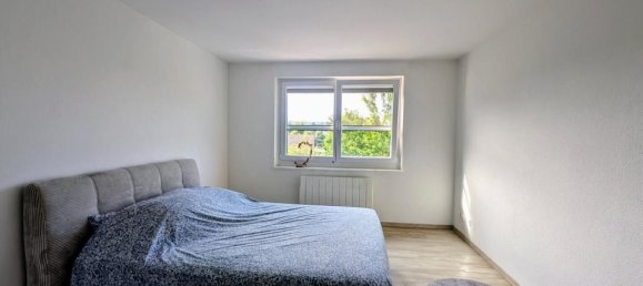 3 bedrooms Apartment in Delle, France No. 289861 9