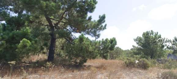 3 bedrooms House in Alcacer do Sal, Portugal No. 140135 11