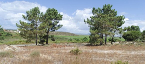 3 bedrooms House in Alcacer do Sal, Portugal No. 140135 9