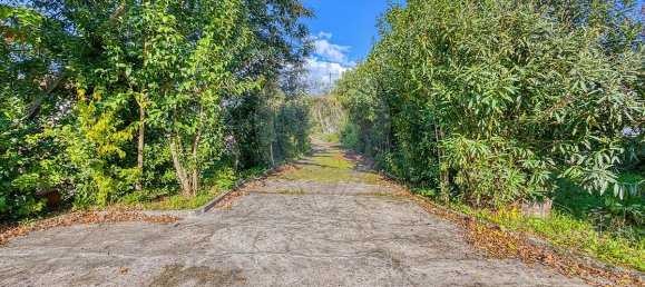 4 Schlafzimmer Haus in Amarante, Portugal, Nr. 29110 36