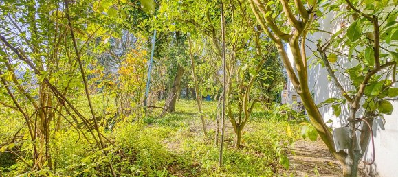 4 Schlafzimmer Haus in Amarante, Portugal, Nr. 29110 35