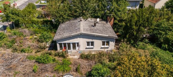 Bungalow de 4 habitaciónes en Mitterndorf an der Fischa, Austria No. 219674 15