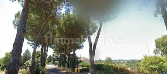 463m² Warehouse in Riano, Italy No. 299896 4