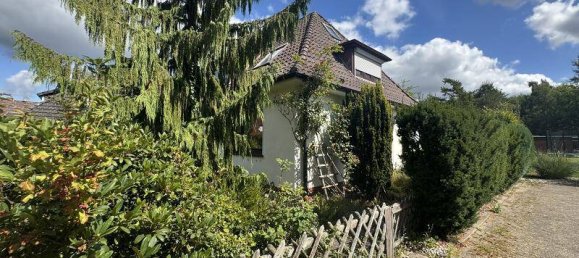 4 غرف نوم قطعة أرض في Cloppenburg, Germany رقم 278966 5