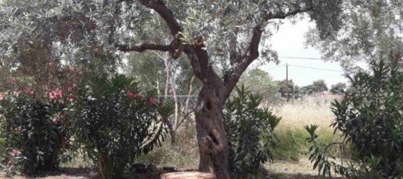 3 bedrooms Commercial property in Polygyros, Greece No. 3700 18