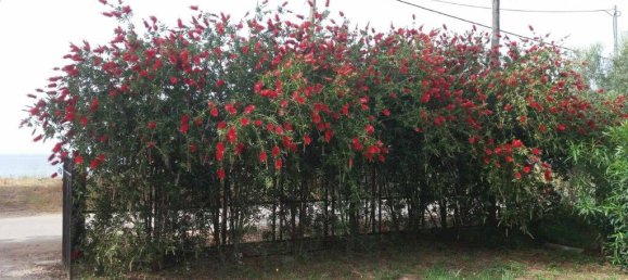 3 bedrooms Commercial property in Polygyros, Greece No. 3700 20