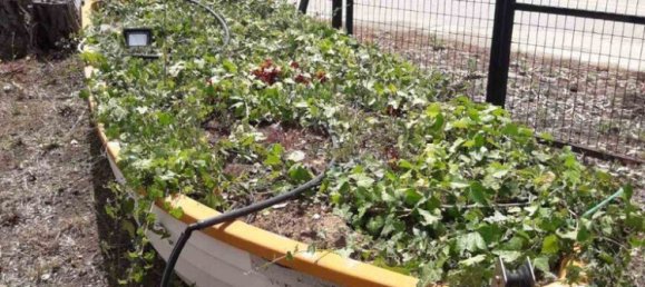 3 bedrooms Commercial property in Polygyros, Greece No. 3700 17