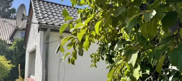 1 Schlafzimmer Grundstück in Potsdam, Germany, Nr. 282220 18