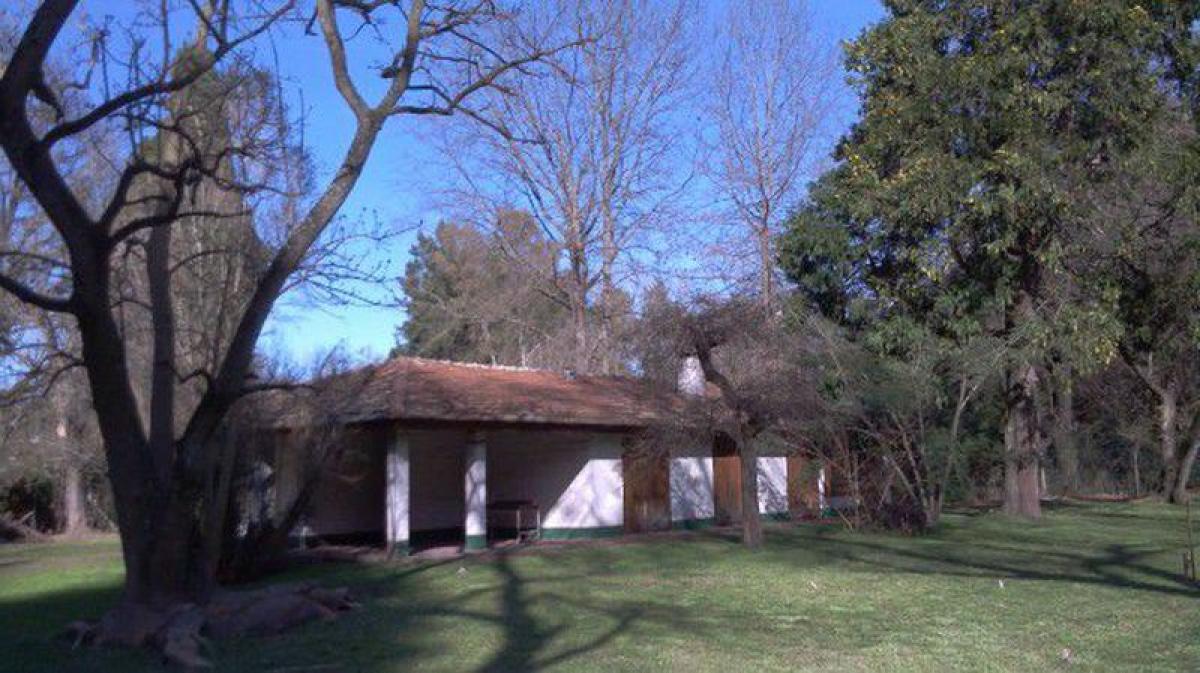 Bauernhof in Pilar, Argentina 141m², Nr. 36650