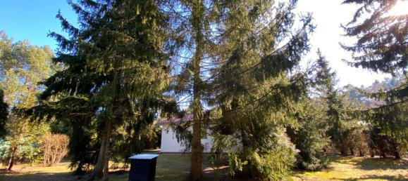 قطعة أرض في Brandenburg, Germany رقم 64284 8