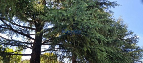 7m² Garage in Thiene, Italy No. 326169 10