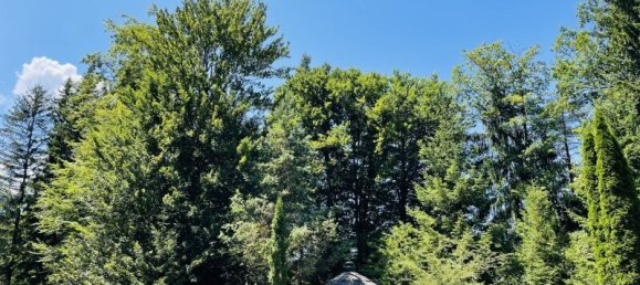 5 rooms Land in St. Jakob im Rosental, Austria No. 193829 5