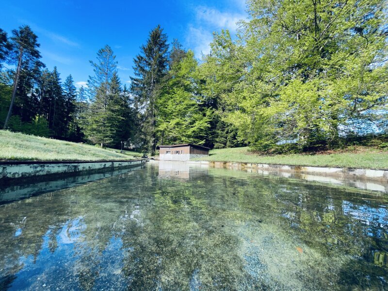 5 rooms Land in St. Jakob im Rosental, Austria No. 193829