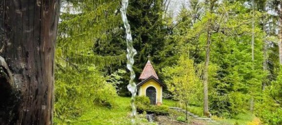 5 rooms Land in St. Jakob im Rosental, Austria No. 193829 6