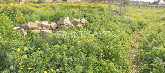 2 bedrooms Farm in Marsaskala, Malta No. 1705 12
