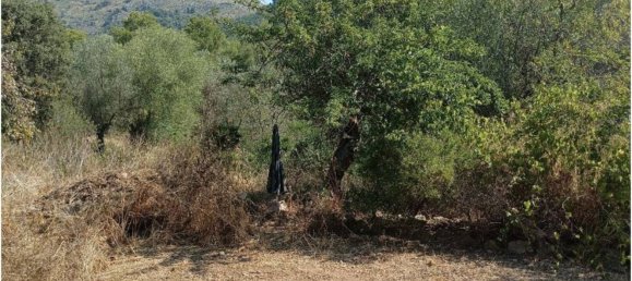 Casa T1 em Andratx, Spain N.º 170830 47