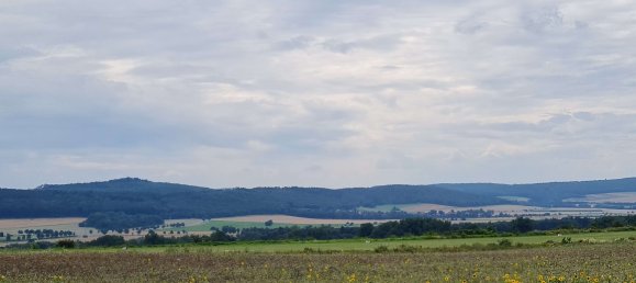  Land in Salzgitter, Germany No. 263619 6