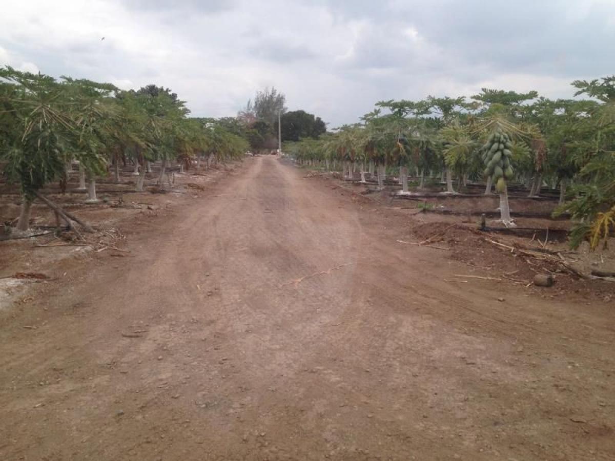 5 bedrooms House in Tijuana, Mexico No. 154178