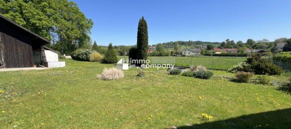  Land in Buchkirchen, Austria No. 167043 3