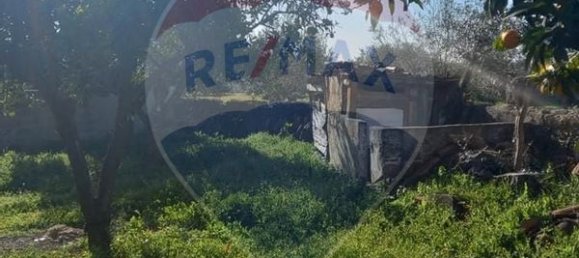 3 غرف نوم منزل في Alter do Chao, Portugal رقم 184901 6