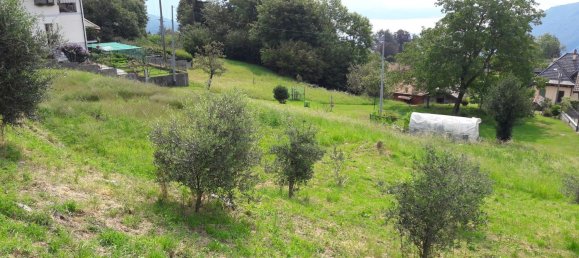 Grundstück in Miazzina, Italy 1080m², Nr. 256218 5