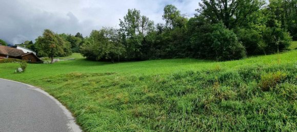 Land in Ludesch, Austria No. 165922 3