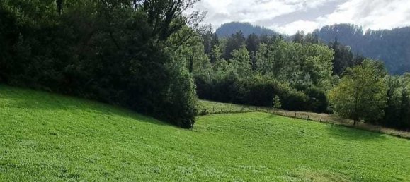 Land in Ludesch, Austria No. 165922 2