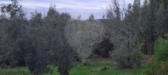 1200m² Land in Oliveira do Hospital, Portugal No. 70868 3