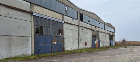 19234m² Warehouse in Conselice, Italy No. 372048 5