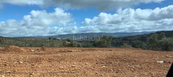 35000m² Land in Granada, Spain No. 173744 6