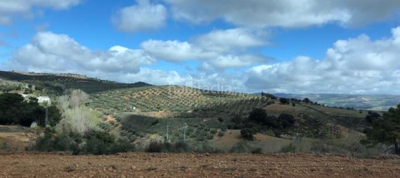 35000m² Land in Granada, Spain No. 173744 3