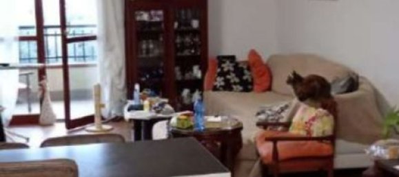 2 rooms Apartment in Magliano in Toscana, Italy No. 191495 15