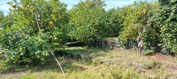 2-salle Maison à Santa Venerina, Italy No. 170935 2