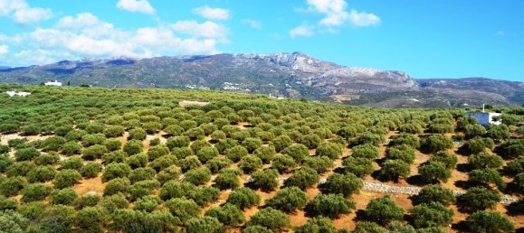 3 bedrooms Commercial property in Sitia, Greece No. 5557 9