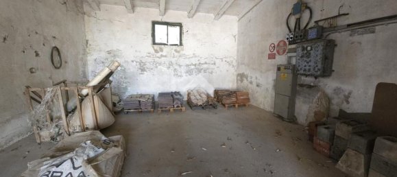 Entrepôt à San Martino dall'Argine, Italy 3700m² No. 269871 27