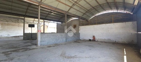 Entrepôt à San Martino dall'Argine, Italy 3700m² No. 269871 26