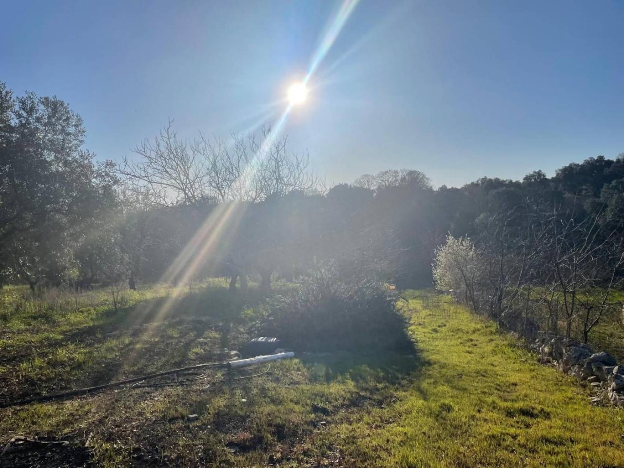 Terrain à Monopoli, Italy 10000m² No. 40132