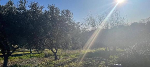 Terrain à Monopoli, Italy 10000m² No. 40132 5