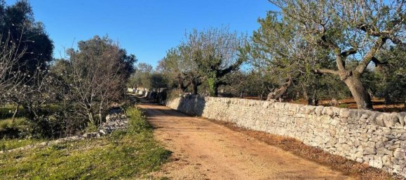 Terrain à Monopoli, Italy 10000m² No. 40132 7