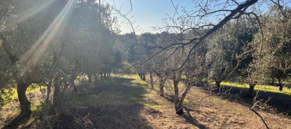 Terrain à Monopoli, Italy 10000m² No. 40132 14