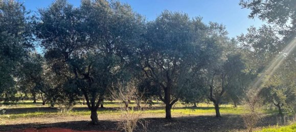 Terrain à Monopoli, Italy 10000m² No. 40132 3