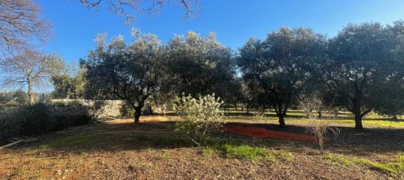 Terrain à Monopoli, Italy 10000m² No. 40132 4