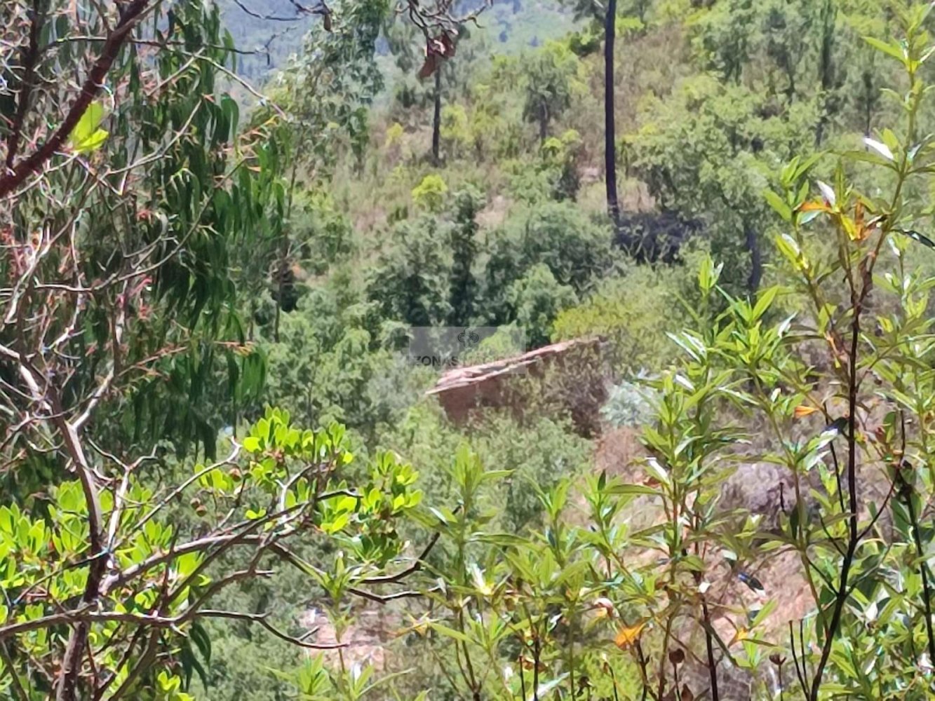 Terreno em Monchique, Portugal 28 m² N.º 206796