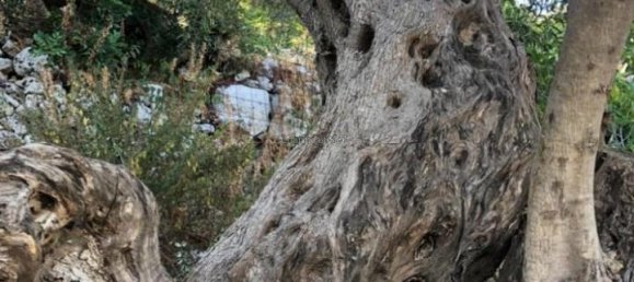 3 rooms House in Modica, Italy No. 235496 45