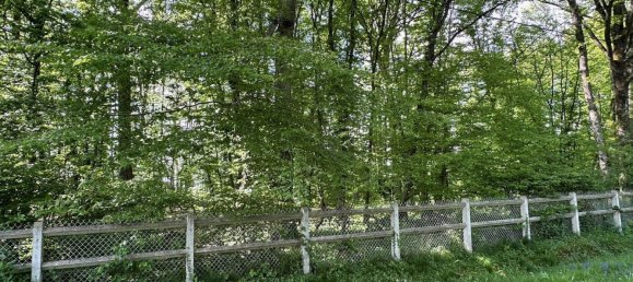 Grundstück in Foucherolles, France 2578m², Nr. 77919 3