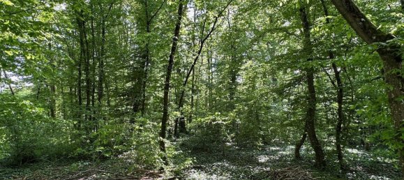 Grundstück in Foucherolles, France 2578m², Nr. 77919 6