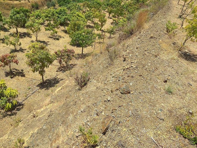  قطعة أرض في Almachar, Spain 20000متر مربع رقم 227372